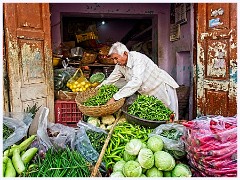 20 03 01 India Jodhpur  EMA1973