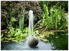 039 Bury St Edmunds Trip  Abbey Water Gardens