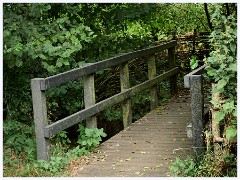 049 Bury St Edmunds Trip - Lackford Lakes  A Bridge