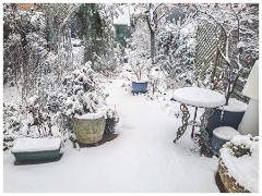 012 Winter Frost and Snow  Garden