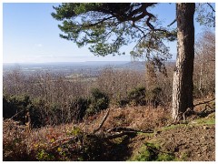 015 Hurtwood in the Surrey Hills  Boxing Day with Oliver and Family