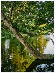 013  Godmanchester  The River
