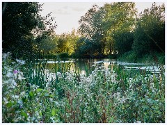 003  Hinchingbrooke Country Park