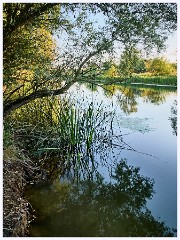 006  Hinchingbrooke Country Park