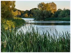007  Hinchingbrooke Country Park