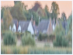 010  Hinchingbrooke Country Park