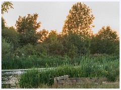 011  Hinchingbrooke Country Park
