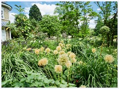 010 June and July in Cambridgeshire  Cambridge Botanical Garden