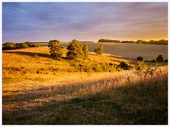 036 June and July in Cambridgeshire  Therfield -Sunset