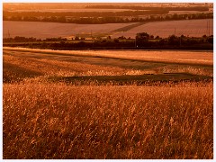038 June and July in Cambridgeshire  Therfield -Sunset