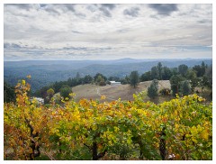 011 California  El Dorado Hills, Hollys Hill Winery