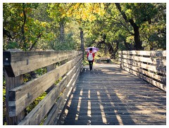 022 California  Folsom Willow Creek