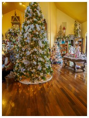 068 California  Berghold Winery, Lodi