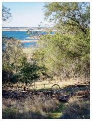 077 California  Folsom Lake