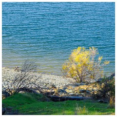 078 California  Folsom Lake