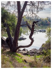 090 California  From One of Three Bridges Old Folsom