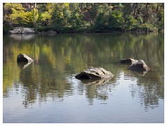 100 California  American River Folsom