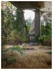 103 California  One of Three Bridges Old Folsom