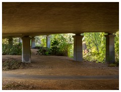 106 California  One of Three Bridges Old Folsom