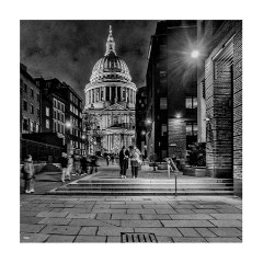 025 London  St Pauls with Christmas Tree