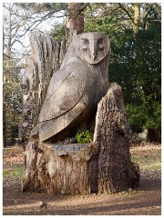 002 RSPB Sandy