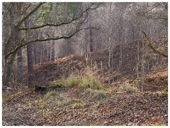 009 RSPB Sandy