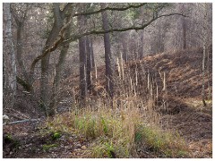 010 RSPB Sandy