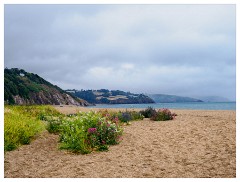 081 South Devon  Strete Gate Beach