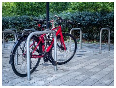 005 West Cambridge  Bikes