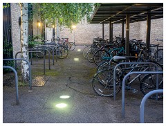 013 West Cambridge  Bikes
