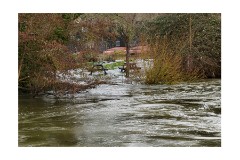 011 Flatford, Suffolk  Flooded Teegarden