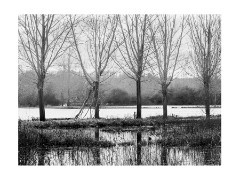 015 Flatford, Suffolk  View across the Flooded Land