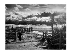 019 Flatford, Suffolk  View of the Flooded Walk to Dedham