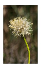 104 Suffolk Day 5  Dunwich Heath
