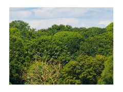 010 Suffolk Day 1  Minsmere