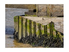 019 Suffolk Day 1  Walberswick