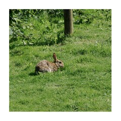 020 Suffolk Day 1  Walberswick