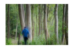 010 Woodbridge Area  Levington