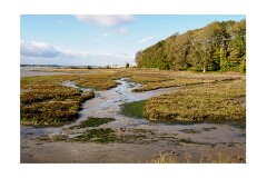 014 Woodbridge Area  Levington