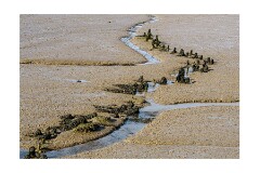 016 Woodbridge Area  Levington