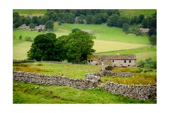 019 Yorkshire  Swaledale