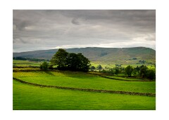 039 Yorkshire  Wensleydale