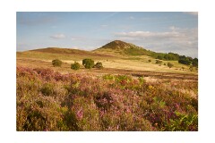 046 Yorkshire  Hawnby Moor