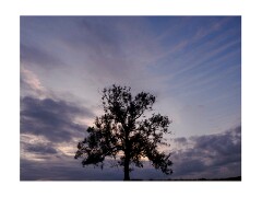 047 Yorkshire  Hawnby Moor