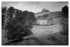 015 Yorkshire  Ladyhill