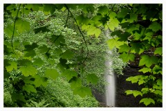 019 Yorkshire  Hardrow Falls